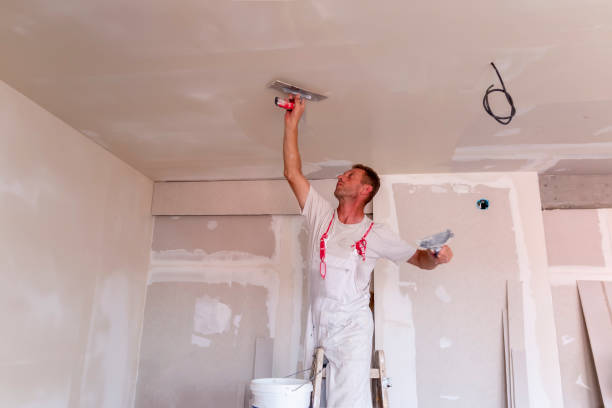 Best Ceiling Drywall Installation  in Valdosta, GA